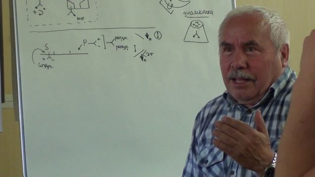 Мусульманская цивилизация 7. Май 2016