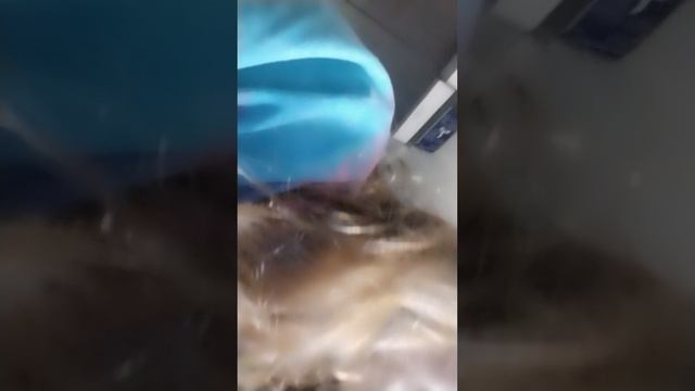 1 лайфхак и обзор на мои крутые вещи обычное видео