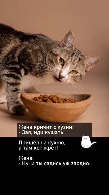 Анекдот дня (184) Хорошее настроение Short