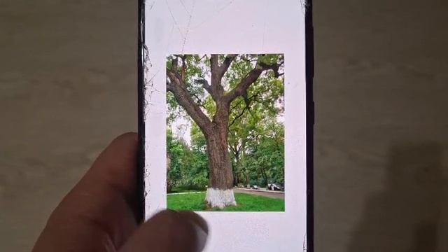 Показываю как в приложении Snapseed делать изображение более ярким и чётким