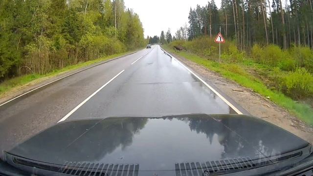Лосось