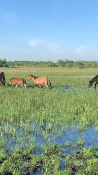 Прекрасное утро ☀️☀️☀️