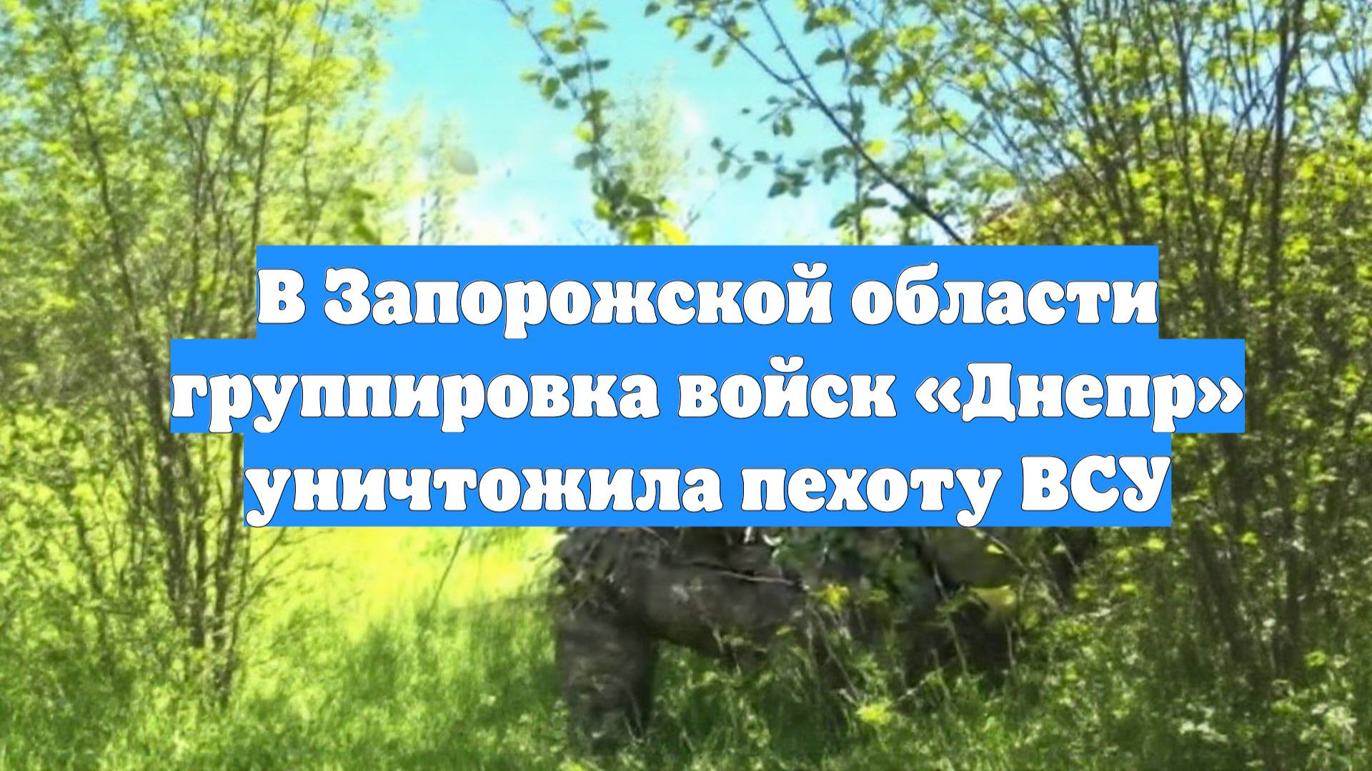 В Запорожской области группировка войск «Днепр» уничтожила пехоту ВСУ