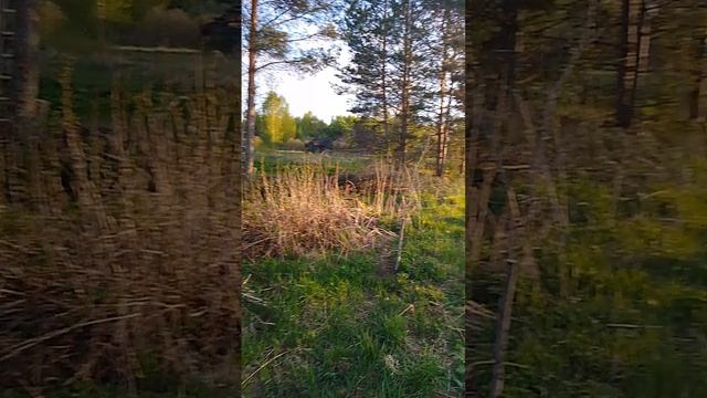 Делаем рассеянную инсоляцию южной части участка