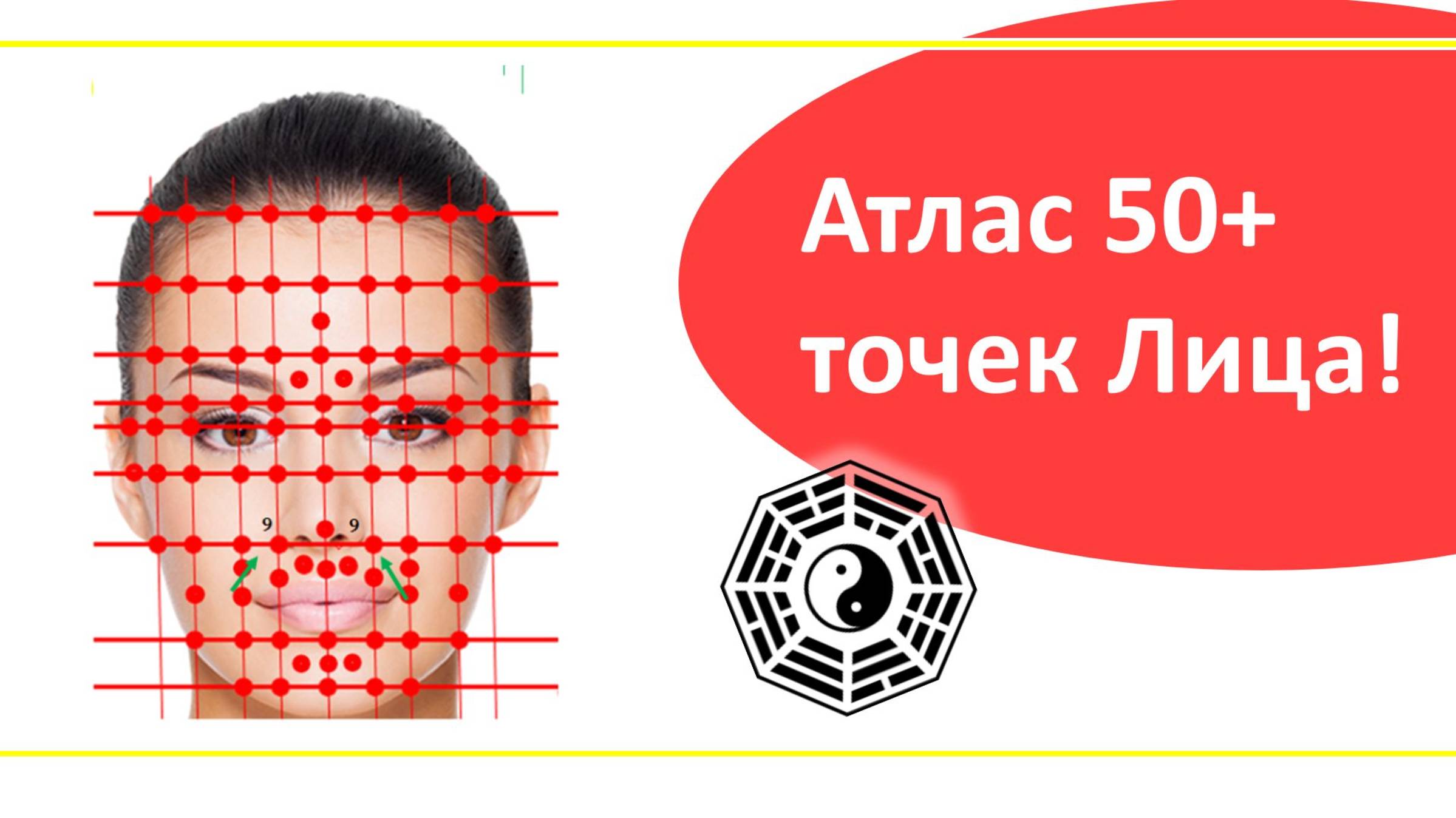 Атлас pdf 50+ важнейших точек Лица