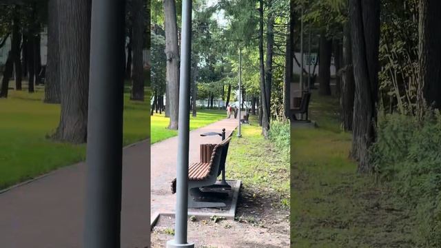 Экстренное включение! Не делайте так никогда…. Dji mavic pro и дерево …