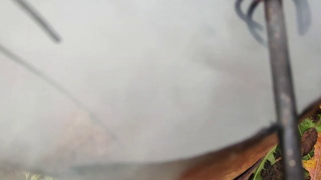 як я коптила сир і козячі  ребра
