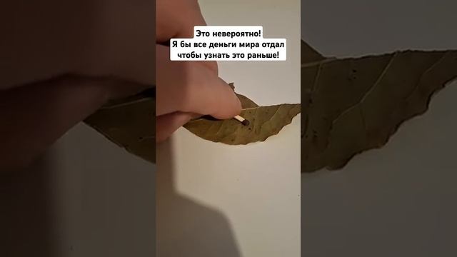 Средство от комаров и тараканов в голове