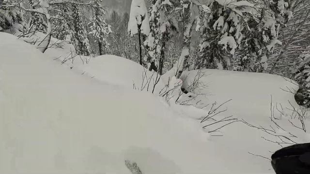 Где и когда открывать горнолыжный сезон 24/25? Шерегеш? П