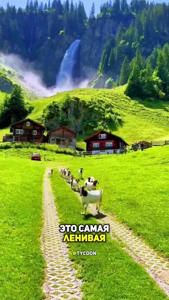 #подмикроскопом #микроскоп #микромир #интересно #наука