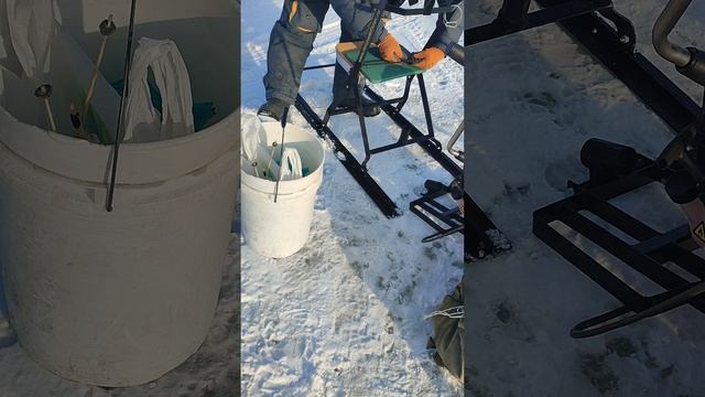 Приятное знакомство. Самоед.