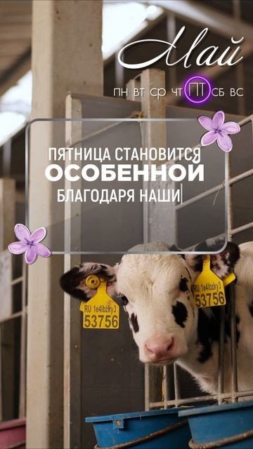 🌿 Маленькие чудеса, большие перспективы — ведь это наши будущие чемпионы!