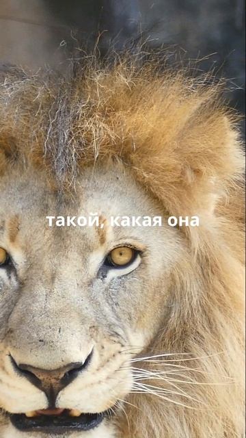 Золотое правило жизни!
