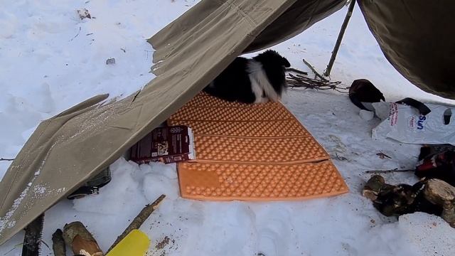 Укрытие в зимнем лесу