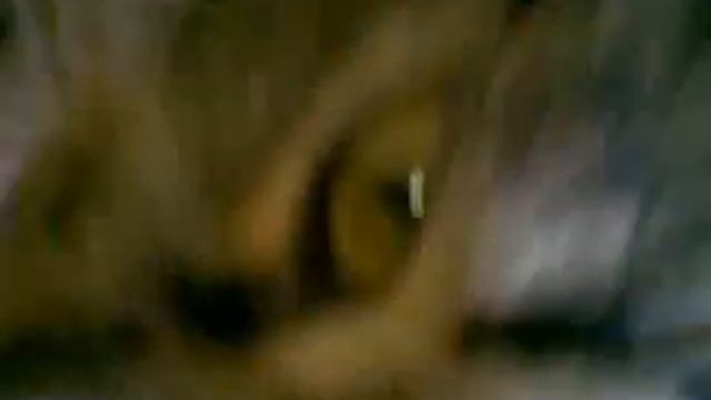 Очень смешно 2012.mp4