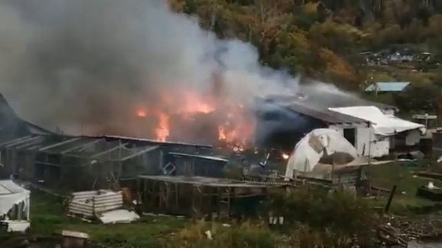 Дом и хозпостройка сгорели в Яблочном