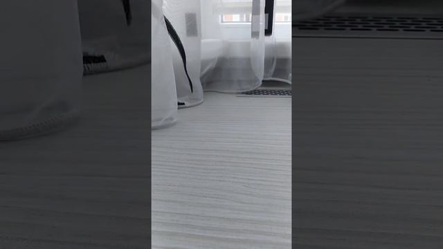 Сюрпризы из бумаги с басиком новые колекции