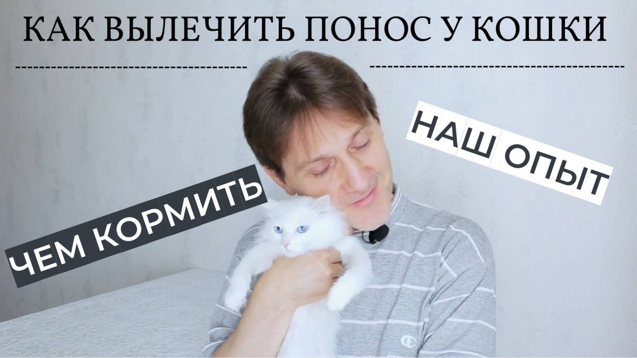 Как вылечить понос у кошки (наш опыт). Чем кормить котенка при поносе. Диарея у кота.
