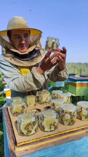пчелы живут в банках #шортс #бурзян #мёд