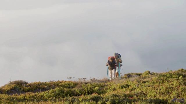 Кадры, снятые через призму чёрной дыры - технологии будущего! - Won-t-Be-Stoppin -- Ketsa -- As Abov