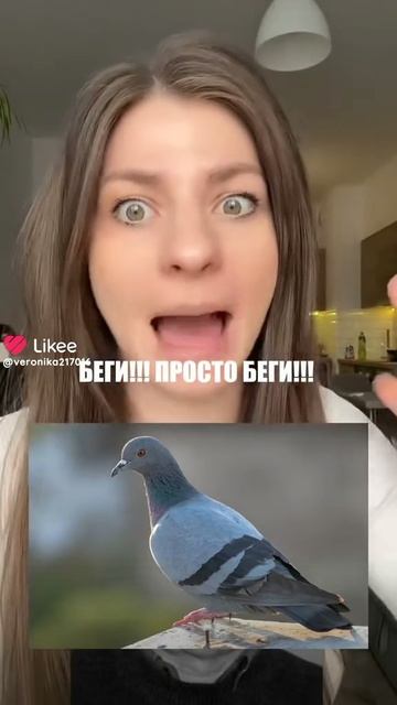 Я хз почему бежать