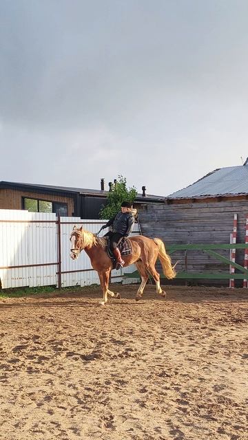 Светлана и Каспер, галоп на плацу, повод в одной руке.