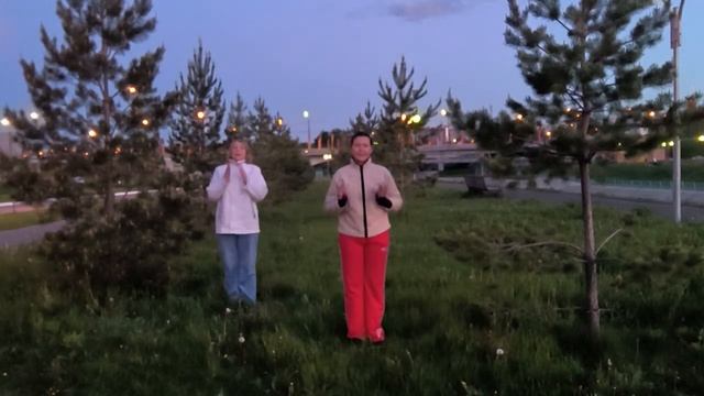 На групповой встрече обмен предназначениями. Галина Козлова обучала универсальной хиропрактике. МНШУ