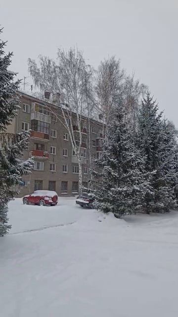 Новосибирск. Снег идет. #shorts #новосибирск #снег