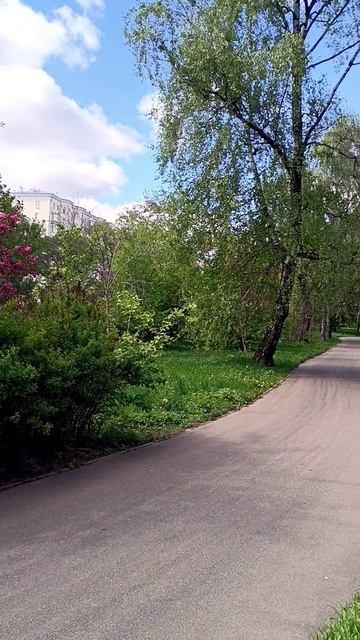 Парк Берёзовая роща. Москва.10.05.2025 (14:40). м.Полежаевская. м.Хорошёвская. ул. Куусинена.