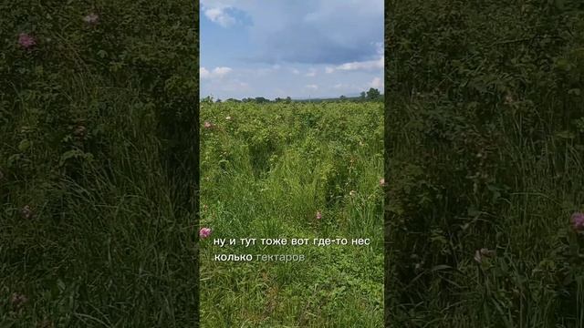 1000165626.mp4