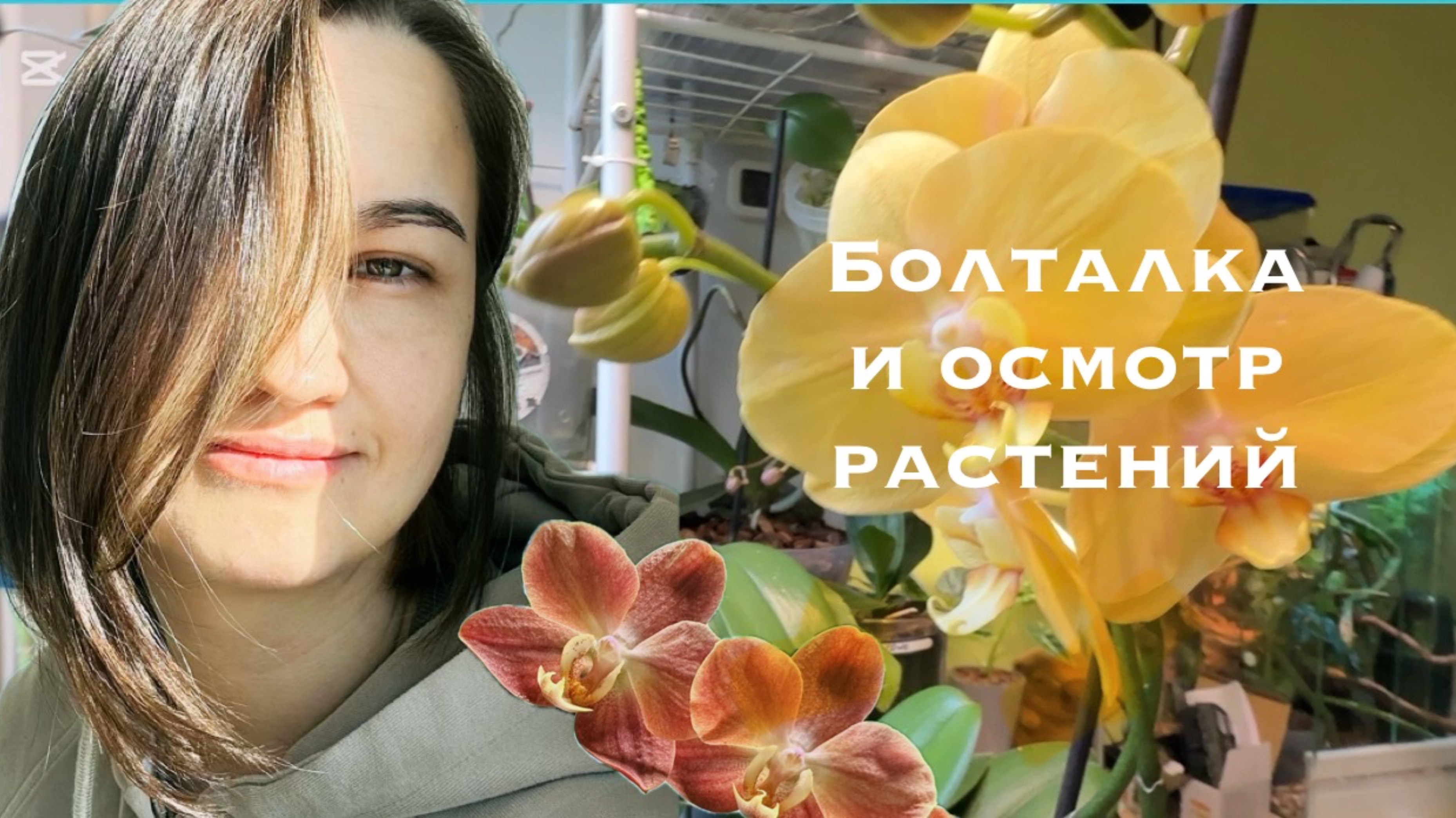 Новости орхоокна и болталка