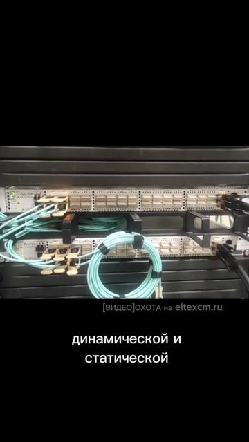 Коммутатор ЦОД MES5500-32 Eltex. Видео[Охота] на eltexcm.ru