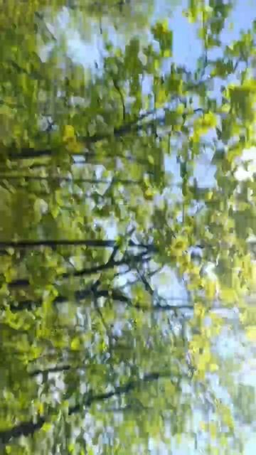 video_2025-05-15_16-21-10