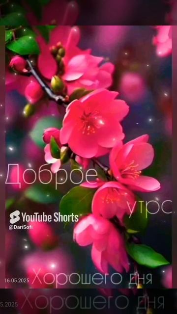 VID_20250516131730