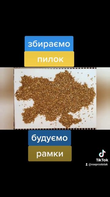 Пасіка, збираємо пилок, будуємо рамки травень, 2022