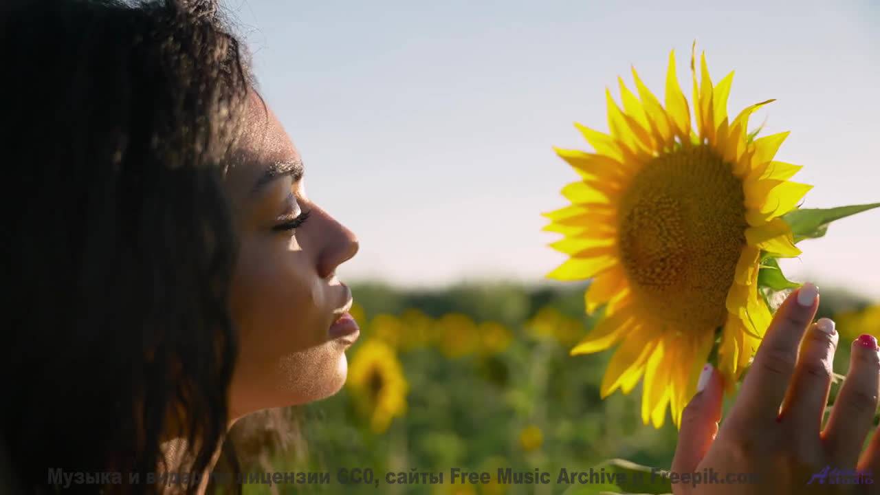 Почему эту мелодию ЗАПРЕТИЛИ в Европе - Odyssey -- Ketsa -- As Above So Below