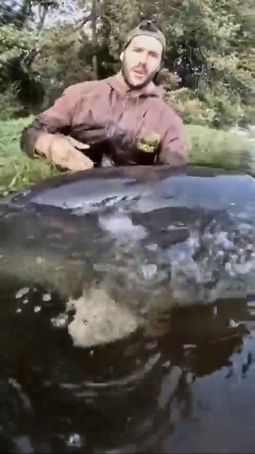 Вот это сомик!