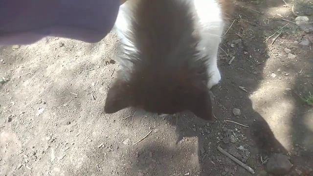 Машка добытчица 😉