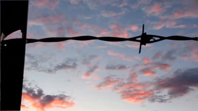 Руставели Контроль тотальный