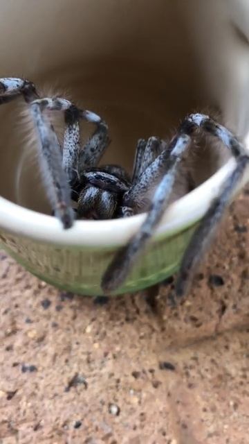 Посмеемся (643)