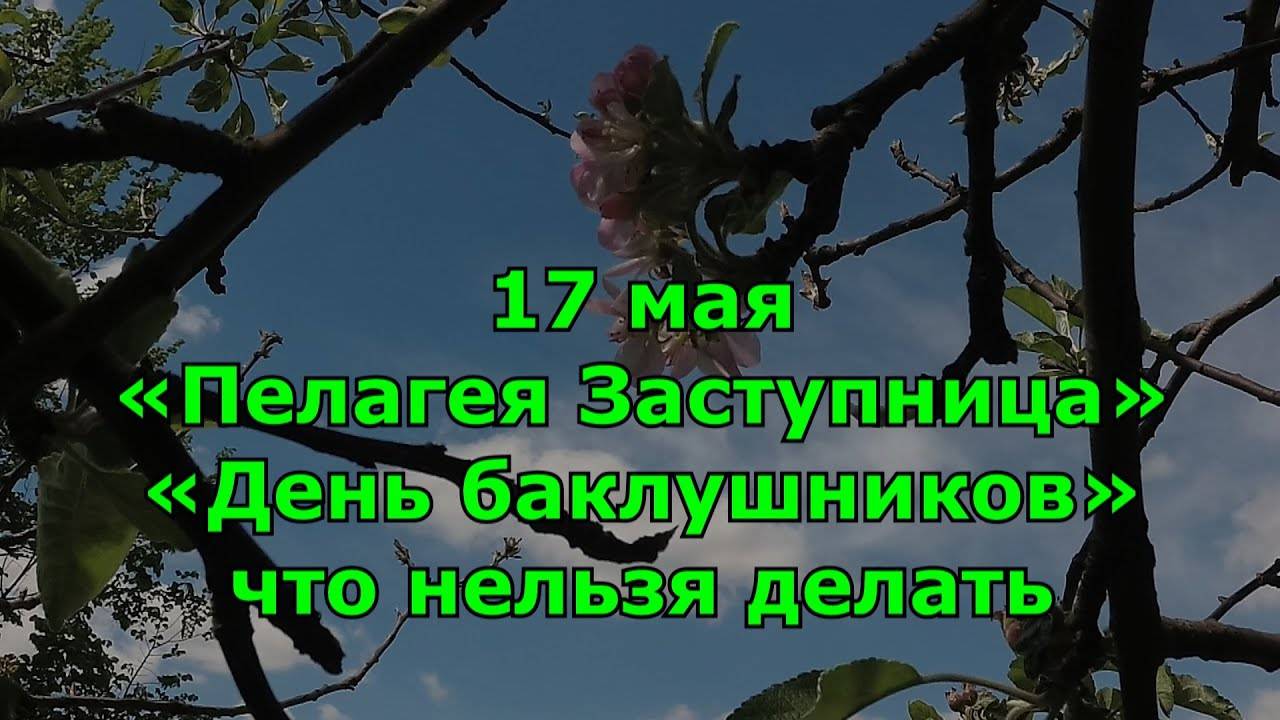 Народный праздник «Пелагея Заступница». 17 мая. Что нельзя делать. народные приметы.
