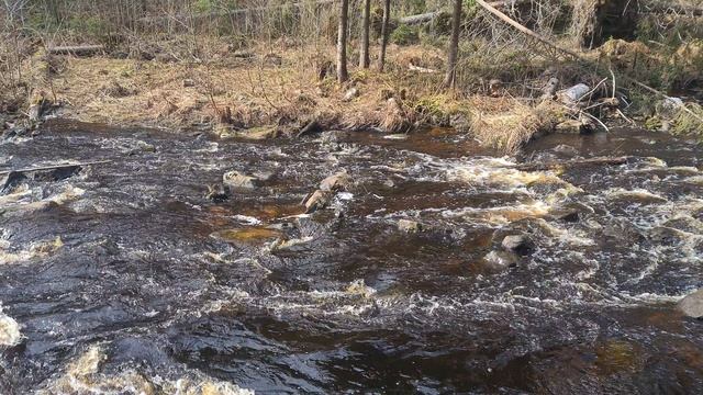 Отпуск в Карелии (долина водопадов, водопад Ийкоски, река Иййоки).