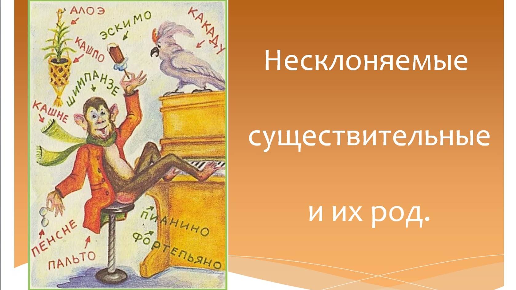 Несклоняемые существительные и их род.  Русский язык 5 класс. Программа Эльконина-Давыдова.