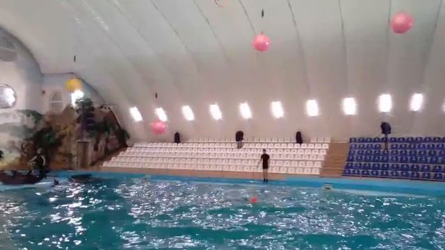 Прыжок Снежки.