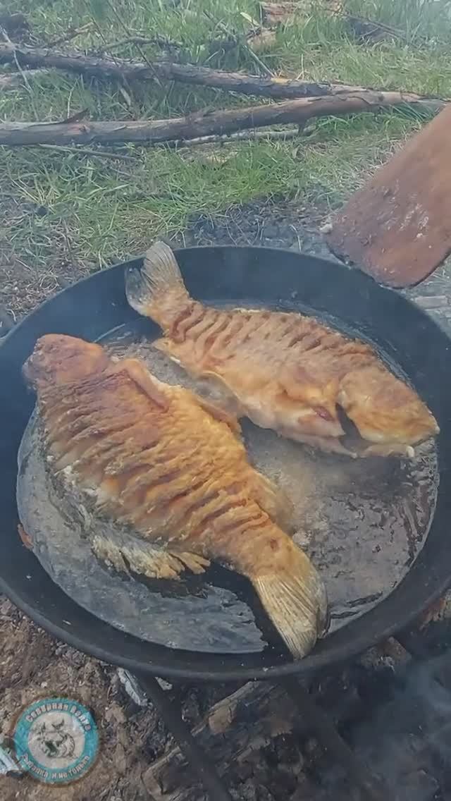 ВОК. МАСЛО И КАРАСЬ.