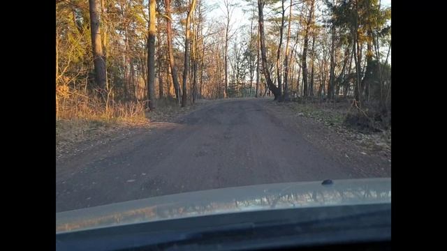 В потёмках улицы у светофорного столба