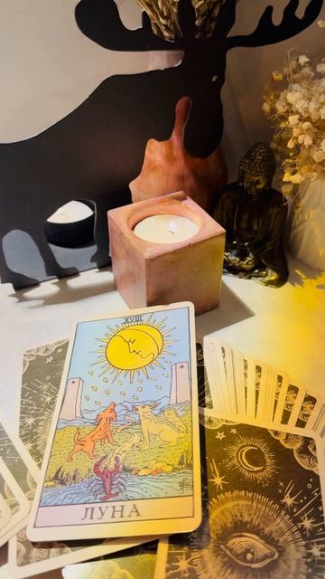Прогноз на сегодня 💡