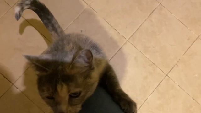 Сделала маникюр 💅. Дела вязальные 🧶 Свитер почти гот