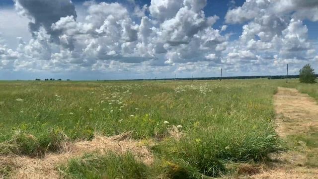 Подвязали штаны, чтобы не колоть ноги свежим покосом. ?