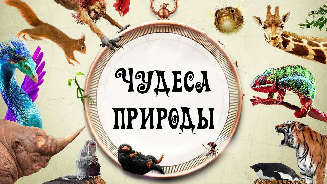 Чудеса природы